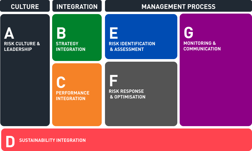 Enterprise Risk Management-Comprehensive